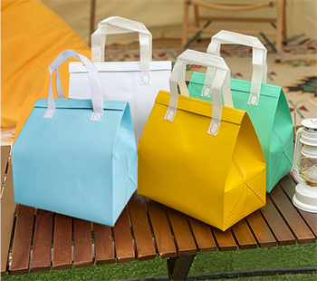 Cooler bag